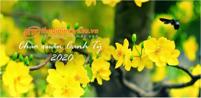 Thông báo lịch nghỉ Tết Dương lịch 2020 và Tết Nguyên đán Canh Tý
